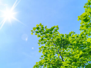 第126回コーラス練習